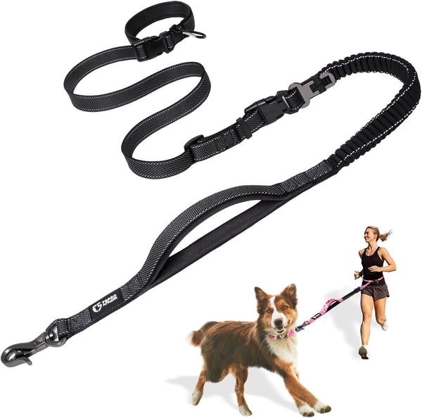 TSPRO Hands Free Dog Leash for Walking and Running, Safety Car Seat Belt with Shock Absorbing Bungee Leash (Black)