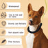 Pet Grooming Loops for Dogs, Stainless Steel No Sit Haunch Holder for Grooming Arm and Table
