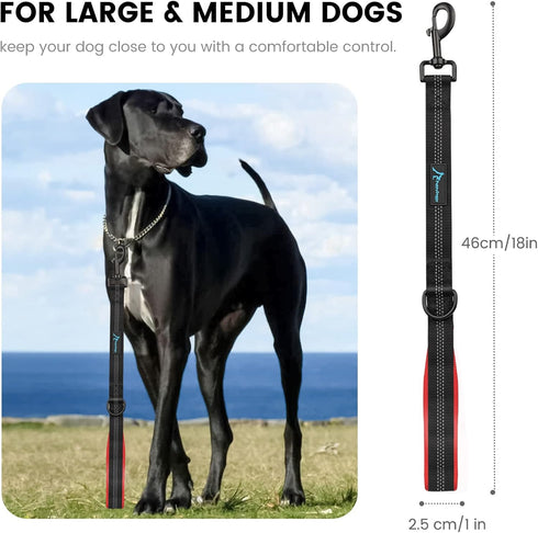 PuppyDoggy 18in Short Dog Leash with Padded Handle, 3 Reflective Threads for Large Medium Dogs, 2 Pack