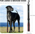 PuppyDoggy 18in Short Dog Leash with Padded Handle, 3 Reflective Threads for Large Medium Dogs, 2 Pack