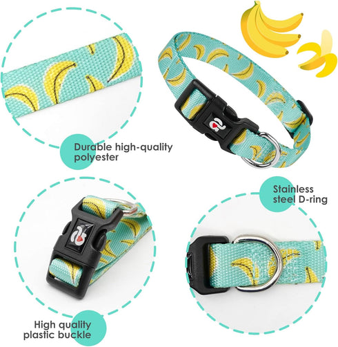 azuza Dog Collar and Leash Set - Cute Patterns on Nylon Collar and Matching Leash for Medium Dogs
