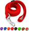 AMAGOOD 6 FT Puppy/Dog Leash, Strong and Durable with Easy to Use Collar Hook (Red, Pack of 1)