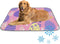 imiBBWQu Cooling Pad Easter Eggs Cooling Bed Mat Washable Pet Stroller Pad Dog