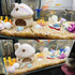 Saim Upgrade Aquarium Mushroom House, Ceramic Cave Decorations for Pleco Shrimp to Rest and Breed