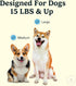 360, 2 Jasper Macrobrush Dog Toothbrush for Medium to Large Dogs, Soft-Bristled Dog Tooth Brushing Kit - Premium