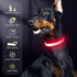 LED Dog Collar Light - USB Rechargeable, Adjustable Size, Heavy Duty Glow Safety Collar for Medium Dogs