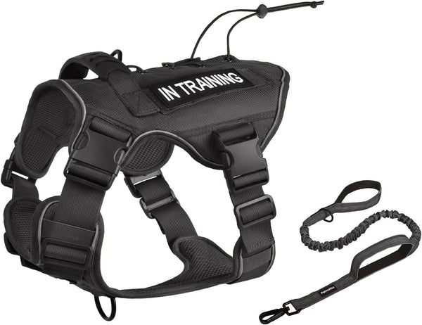 Petmolico Tactical Dog Harness, Black M, No Pull with Leash, Hook and Loop Panels for Medium Dogs, Military Service