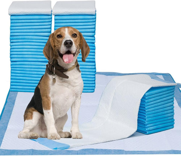 Petphabet Puppy Pads, XXL-Large 34" x 28", Ultra Absorbent All Day Premium Dog Pads, 42 Count