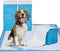 Petphabet Puppy Pads, XXL-Large 34" x 28", Ultra Absorbent All Day Premium Dog Pads, 42 Count
