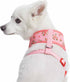 Blueberry Pet Soft & Comfy Floral Rose Dog Harness Vest, Baby Pink, Chest Girth 19.5" - 26", Medium