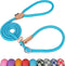 Grand Line Slip Lead Dog Leash - 5FT Reflective Slip Rope for Puppy Training and Walking (Blue, Medium)