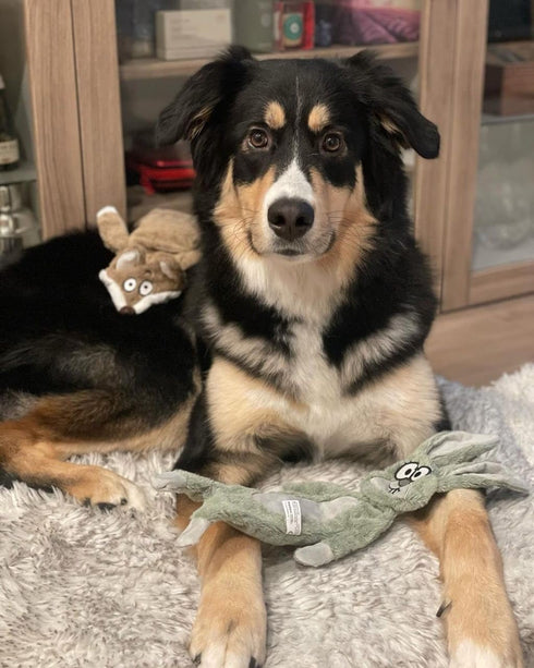 HGB No Stuffing Dog Toys for Aggressive Chewers, Squeaky Crinkle Plush Dog Toys to Keep Them Busy & Puppy Teething