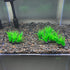 Smoothedo-Pets Aquarium Plants, 20pcs Small Size/1inch Tall Plastic Artificial Plant for Goldfish Waterscape.