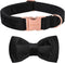 ARING PET Bowtie Dog Collar, Velvet Dog Collars with Removable Bowtie, Adjustable for Girl and Boy Dogs