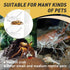 2 Packs Hermit Crab Water Tank with Cuttable Climbing Ramp, Ideal Pool and Tank Combination