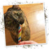 Meowijuana Birthjays Bundle, Catnip Joints and Get Lit Cake Refillable Toy, Hand Harvested Catnip