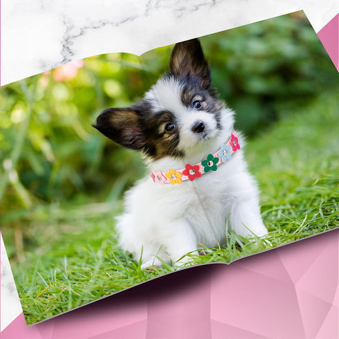 4 Pcs Pink Dog Collar, Spiked Studded Dog Collars, Pearls Dog Necklace with Rhinestone Bow Knot for Dogs (Novel Style,