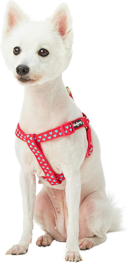 Blueberry Pet Adjustable Step-in Dog Harness - Velvety Heart Flocking Valentine’s Day for Medium Dogs, Lust Red