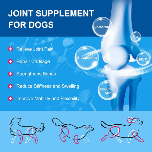 Dog Vitamins Powder, Probiotics & Digestive Enzymes for Gut Health, Complete Supplement for Joint & Skin Support