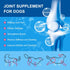 Dog Vitamins Powder, Probiotics & Digestive Enzymes for Gut Health, Complete Supplement for Joint & Skin Support