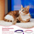 EXPAWLORER Soft Velvet Safe Cat Collars for Girl Cats - 2 Pack Rhinestones Bling Adjustable Breakaway Collars