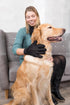 TRIXIE Pet Grooming Glove for Dogs and Cats - Cleans and Softens Coat