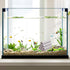 AnRui Ceramic Shrimp and Betta Shelters Ten Holes Fish Tank Decor Honeycomb Tunnel Aquarium Dcor Thematic Ornaments