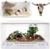 Bearded Dragon Tank Decor Accessories, Resin Cattle Skull Reptiles Hideouts for Fish Aquarium