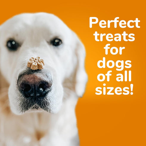 Fruitables Baked Dog Treats – Healthy Low Calorie Pumpkin and Blueberry, 12 Ounces