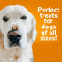 Fruitables Baked Dog Treats – Healthy Low Calorie Pumpkin and Blueberry, 12 Ounces