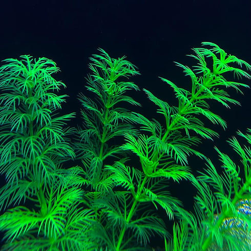 Artificial Aquarium Plants, 10PCS Realistic Plastic Fake Plants for Fish Tank Decoration