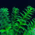 Artificial Aquarium Plants, 10PCS Realistic Plastic Fake Plants for Fish Tank Decoration