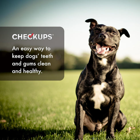 Checkups Dental Dog Treats, 24 Treats - 48 oz