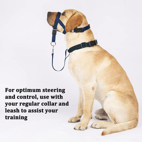 BARKLESS No-Pull Head Collar for Dogs, Soft Halter Harness with Expert Training Guide (M, Navy Blue)