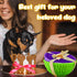 2 Pcs Silicone Dog Lick Bowl: Interactive Slow Feeder Bowls for Oral Health, Anxiety Relief, Green, Purple, Bone
