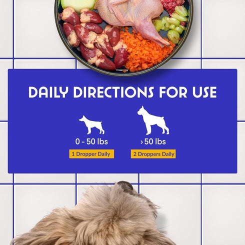 Milk Thistle Liver Support for Dogs, Detox and Hepatic Support with Wild Alaskan Salmon Oil & Curcumin, 2 Oz