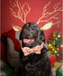 Lionheart Glory Christmas Dog Collar - Adjustable Pink Bowtie Collar for Small Dogs, Fall Gift