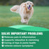 Hemp Oil for Dogs Cats, Pure Drops for Pain Anxiety Relief, Joint Support, Skin Health, Omega 3-6-9 Fatty Acids