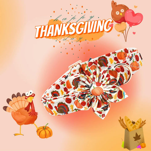 Turkey Dog Collar with Flower - Lionheart Glory Thanksgiving Pet Collar for Small Dogs