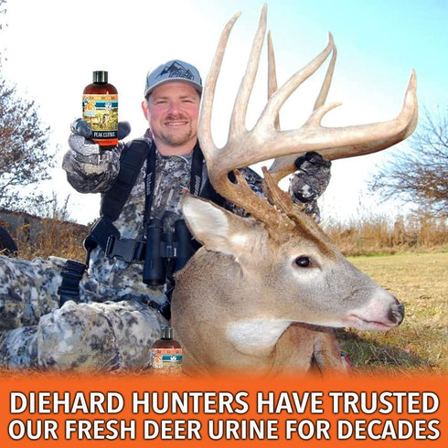 Nationwide Scents Scrape Lure for Hunting, Buck Attractants for Whitetail Deer