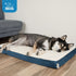 Best Pet Supplies Cute Dog Crate Mat - Waterproof Exterior, Thick Orthopedic Egg Foam Mattress - Blue, 24X16X3
