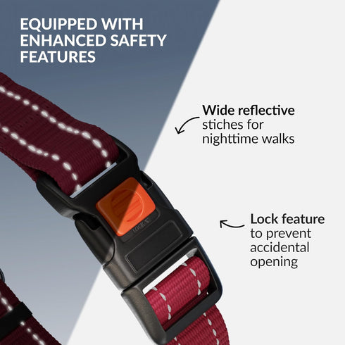 CollarDirect Martingale Dog Collar with Stainless Steel Chain, Quick Release Buckle, Reflective for Large, Medium,