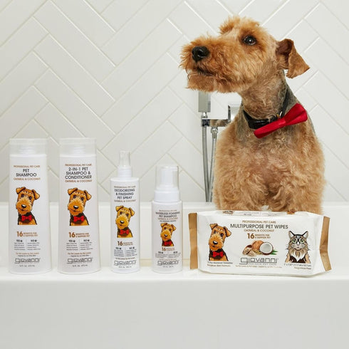 GIOVANNI Professional 2-in-1 Pet Shampoo & Conditioner, 16 oz (Pack of 2), for Dogs & Cats, Oatmeal & Coconut, Helps