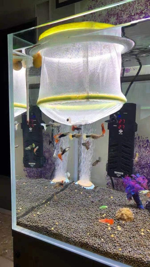 2 Units Aquarium Fish Hatchery Isolation Net, Large and Small Aperture Breeder Tank Isolation Hatching Net Box