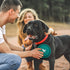 Collapsible Dog Bowls for Travel, 2-Pack Portable Water Bowls for Dogs Cats, BPA Free with Carabiners