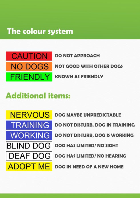 Dexil Limited DO NOT PET Red Color Coded Padded Dog Leash, 4ft, Prevents Accidents by Warning Others