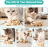 2 Plush Catnip Mice Toys with Rattle Sound- Pcs Interactive Cat Toys for Indoor Cats, Durable Stress Relief