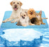 Dog Cooling Mat, Portable Pet Cooling Pads for Dogs & Cats, Summer Cushion for Home or Outdoor Use