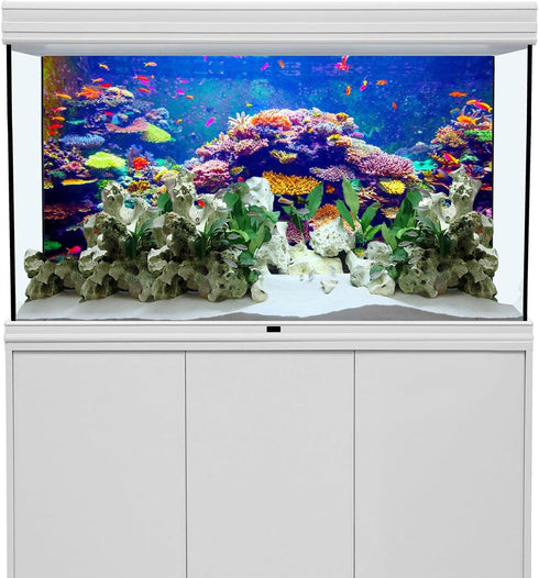 AWERT Undersea Theme Aquarium Background, 36x18 Inches Colorful Coral Tropical Fish Polyester Background