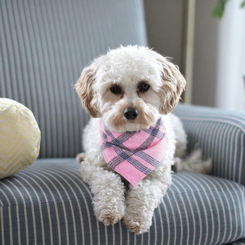 Segarty Dog Bandanas, 30 Pack 22.8"x15.7" | Triangle Plaid Bibs for Medium Small Dogs, Adjustable Washable Kerchief